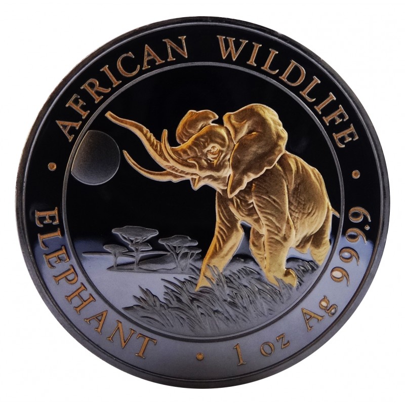 Nature Coin African Elephant – YON (ヨン）| 公式オンラインサイト