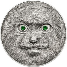 MANUL Pallas Cat Wildlife Protection Silver Coin 500 Togrog Mongolia 2014